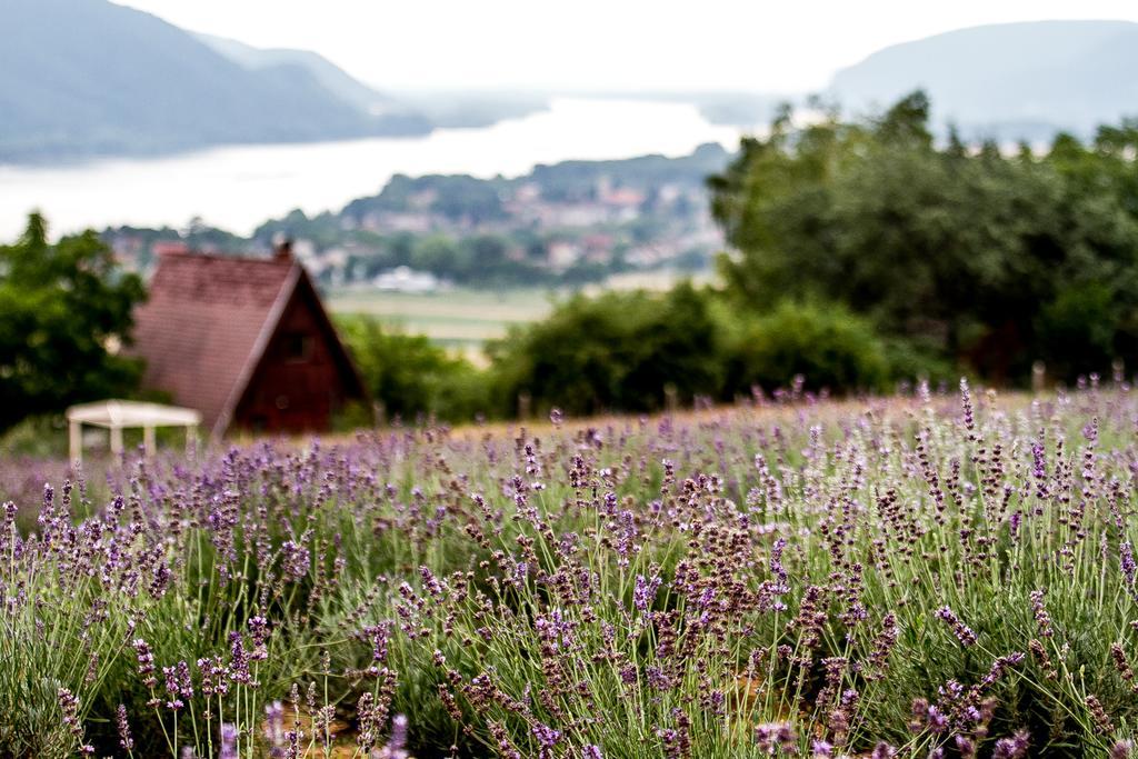 Natura Hill Panzio & Slow Food Fine Bistro Hotel Zebegeny Exterior photo