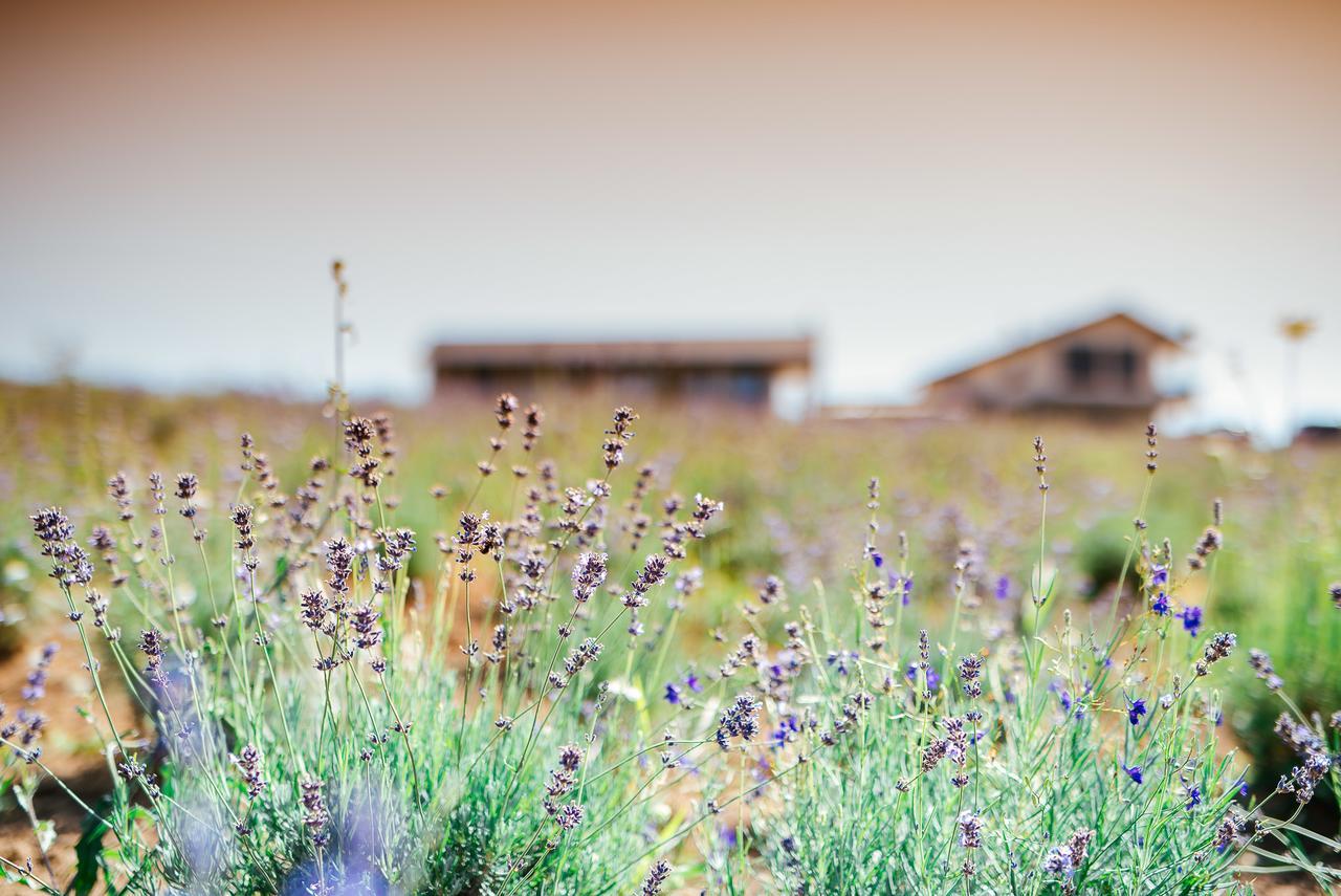 Natura Hill Panzio & Slow Food Fine Bistro Hotel Zebegeny Exterior photo